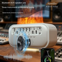 Humidificateur à bruit blanc sans fil personnalisé OEM 300 ml avec veilleuse pour chambre à coucher et diffuseur d'aromathérapie