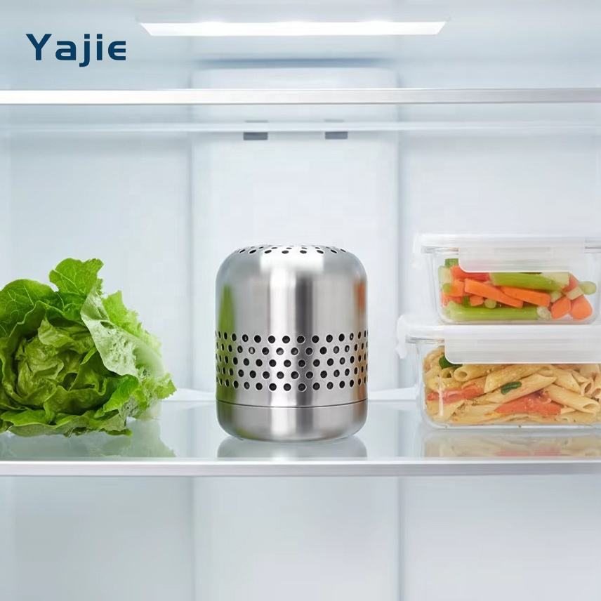 portable-solid-stainless-steel-refrigerator-deodorizer