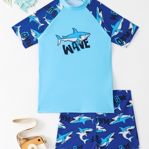 Vente en gros <span class=keywords><strong>de</strong></span> <span class=keywords><strong>maillot</strong></span> <span class=keywords><strong>de</strong></span> <span class=keywords><strong>bain</strong></span> deux pièces ensemble <span class=keywords><strong>de</strong></span> maillots <span class=keywords><strong>de</strong></span> <span class=keywords><strong>bain</strong></span> pour enfants garçons maillots <span class=keywords><strong>de</strong></span> <span class=keywords><strong>bain</strong></span> d'été enfants pour leçons <span class=keywords><strong>de</strong></span> natation dinosaure costume pour tout-petits - Product Image 6
