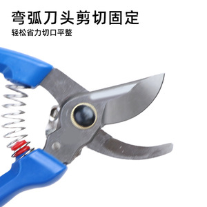 Garden Shears Bypass Pruner Stainless Steel Blade 45Mm Blue Handle 20-30Mm Trimming Diameter - Product Image 3