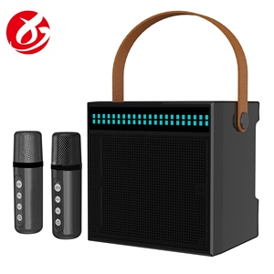 Haut-parleur Karaoké Portable RVB avec Lumières, 10W de Puissance, 2000mAh, Double Micros Sans Fil, Vente en Gros, Fabrication OEM/ODM - Product Image 4