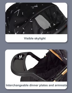 Passeggino 2 in 1 per Neonati e Bambini, Pieghevole con Una Mano, Convertibile, con Manico Reversibile - Product Image 4