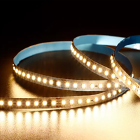 Bande LED à pixels DC24V pour course de chevaux, effet eau courante, 2835SMD 120 LED/m avec marquee à défilement, blanc naturel et blanc chaud
