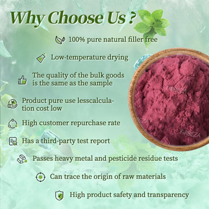 Source Approvisionnement D'usine <span class=keywords><strong>Noir</strong></span> <span class=keywords><strong>Aronia</strong></span> Chokeberry Poudre Naturelle 30:1 <span class=keywords><strong>Aronia</strong></span> Berry Extrait Poudre - Product Image 2
