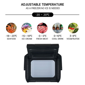 Family Travel Camping Car Fridge 12v Compressor Portable OEM ODM <b>Refrigerator</b> Portable Car <b>Refrigerator</b> - Product Image 4