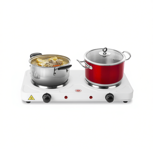 Placa Calefactora Eléctrica Doble de Acero Inoxidable de 2000W con Control de Temperatura Ajustable para Uso Doméstico - Product Image 1