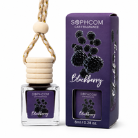 Diffuseur de parfum pour voiture suspendu, bouteille en verre avec bouchon en bois, style luxueux, évaporation naturelle, élimination des odeurs, longue durée