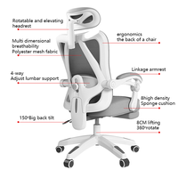 Chaise de bureau ergonomique conforme à la norme EN1335, chaise de travail professionnelle en mesh avec appui-tête 3D et soutien lombaire dynamique