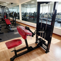 Mesin Fitness Gym Kekuatan Berkualitas Tinggi dengan Beban Pin untuk Latihan Biceps Triceps Curl SELECTORIZED