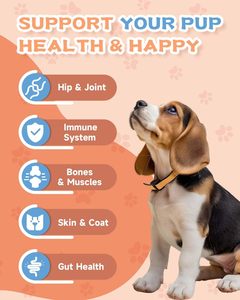 OEM/ODM مخصص شعار خاص حيوان أليف كولاجين سائل قطرة مكمل طبيعي للحيوانات الأليفة لصحة المفاصل والجلد والمعطف ودعم التنقل - Product Image 3