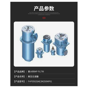 Filtre hydraulique Mpfilti MpF1002Ag2A16Hbp01, élément de filtration d'huile de type disque pour l'industrie légère - Product Image 2