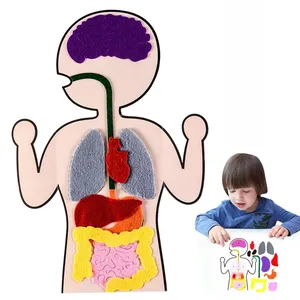儿童早教玩具人体器官认知DIY织布粘性蒙太梭利玩具宝宝学习