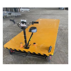 Triciclo Eléctrico de Cuatro Ruedas para Adultos - Plataforma de Acero Inoxidable OEM para Compras y Uso Industrial - Product Image 2