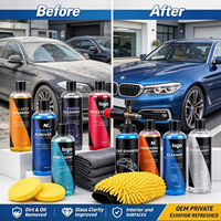 Kit d'entretien complet pour voiture de 500 ml, ensemble d'accessoires de nettoyage et de polissage avec sac portable pour le lavage et le polissage des voitures