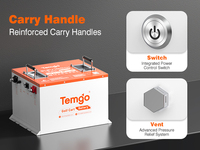 Baterai Golf Cart TEMGO Metal Case 48V 100Ah LiFePO4 dengan BMS Pintar 300A, Charger LCD Bluetooth untuk Dealer dan Distributor