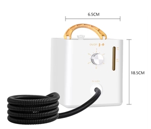 Nettoyeur à vapeur haute température et pression 2500W 110V 220V nettoyeur à vapeur électrique pour le <span class=keywords><strong>nettoyage</strong></span> de la hotte de cuisine du <span class=keywords><strong>climatiseur</strong></span> - Product Image 2