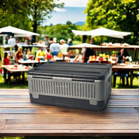 Superbe glacière portable en mousse EPP de qualité supérieure, isolée thermiquement, à motif rayé, pour le camping en extérieur et le stockage alimentaire