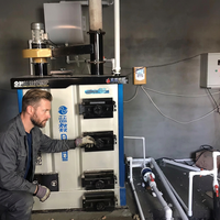 Chaudière à eau chaude verticale à biomasse, charbon et bois, basse pression, haute efficacité pour l'industrie alimentaire avicole