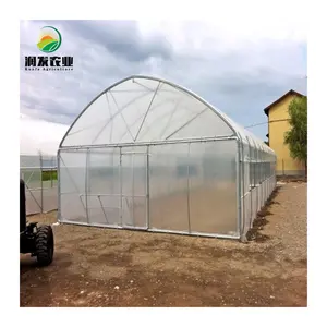 Serra ad arco agricolo serra a Tunnel in Film plastico a campata singola con attrezzature agricole verticali per verdure