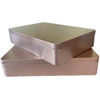 Boîte en fer blanc rectangulaire vide 300x200x60mm, boîte à biscuits carrée en fer, boîtes de rangement alimentaire en métal