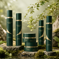 Flacon pulvérisateur et pots de crème pour le visage en verre noir à motif ligne dorée, 100ml 80ml 50ml 30ml 50g 30g, faible MOQ, direct usine