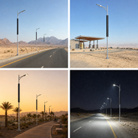 Lampadaire solaire vertical 60W 100W avec panneau solaire intégré, batterie LiFePO4, IP65, installation sur poteau