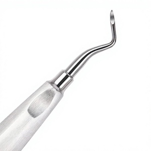 Producto Dental: 12 Herramientas Dentales de Diferentes Puntas, Instrumento Quirúrgico de Acero Inoxidable Plateado y 12 Bolsas con Cierre - Product Image 5