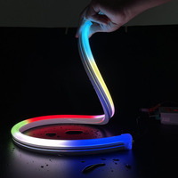 Bande lumineuse à corde flexible RGBIC de 16 pieds 24V néon dynamique pour l'extérieur connectivité USB étanche découpable pour le paysage