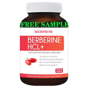 Extrait de berbérine Berberin Haute Résistance Berbérine HCL 500mg Capsules pour Immunitaire Booster Shot Gastrointestinal Perte de Poids Gut