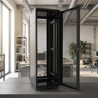 Armoire de serveur en rack pour centre de données, en acier, sur pied, 10U, 800*900mm, en stock