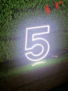 Fabricant Artisan Enseigne Néon Bande Flexible Acrylique Applique Murale Fête D'anniversaire De Mariage Led Chiffre Lettres LED Enseigne Néon Personnalisé - Product Image 6