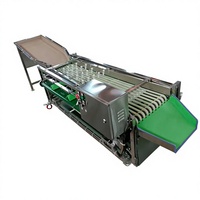 Elektrische automatische appel-, citroen- en sinaasappelsorteer- en -gradeermachine met motor, 304 roestvrij staal, capaciteit 2000 kg/uur