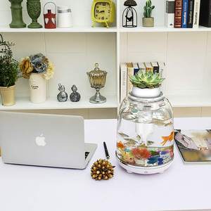 Mini Aquarium Met Automatische Led Verlichting En Filter Pomp Kleine Tank Voor Goudvis Betta Home Decor Aquarium Accessoires - Product Image 2