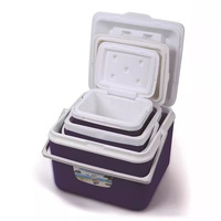 Boîte isotherme portable JL-B pour utilisation en extérieur, en voiture, à domicile et en milieu commercial - Glace et maintien au frais