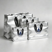Tas Belanja Grosir dari Kertas Ivory, Tas Kertas Mewah Custom dengan Logo, Tas Hadiah Retail dari Kertas Art untuk Sepatu dan Pakaian