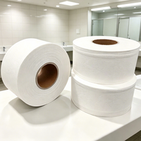 Papier toilette de haute qualité en gros, rouleaux jumbo, fabrication OEM ODM, doux, sans poussière, écologique