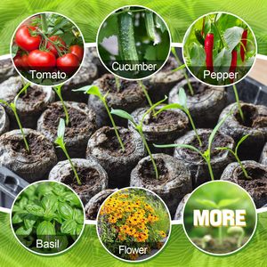 300 pièces 30mm fibre compressée bloc <span class=keywords><strong>de</strong></span> sol <span class=keywords><strong>de</strong></span> jardin 300 étiquettes gousses <span class=keywords><strong>de</strong></span> plantes en vrac pour herbes fleurs bouchons <span class=keywords><strong>de</strong></span> départ pour la plantation - Product Image 4