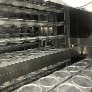 Équipement de pâtisserie électrique, contours d'oreilles pour pain, chambre de fermentation, prix de gros