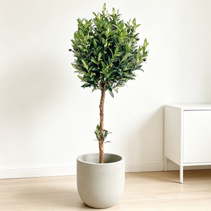 Arbre d'<span class=keywords><strong>olivier</strong></span> artificiel haut de gamme personnalisé de 140 cm (4,6 pieds) avec tronc en bois réaliste en pot pour la décoration de bureau ou de couloir - Product Image 1