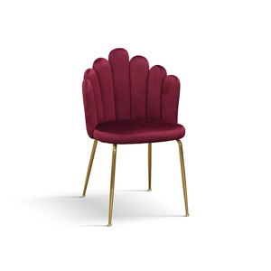 Ensemble de 4 chaises Sissi en velours bordeaux avec pieds en métal, chaises de salle à manger d'intérieur - Product Image 1