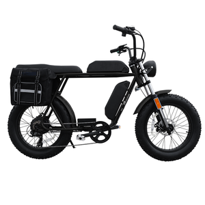 Vélo cargo électrique hybride à double batterie 2023, 48V 750W 1000W 52V 1500W, pneu gras 20*4.0, vélo électrique super 3 roues, side-car 73 - Product Image 4