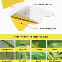 Pièges à insectes collants irréguliers personnalisés, imperméables et résistants aux UV pour vergers, pépinières et patios