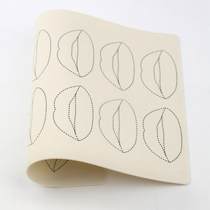 Piel de Práctica de Silicona 3D para Labios, Modelo de Piel para Entrenamiento de Tatuajes Semipermanentes, Suministros para Práctica de Microblading PMU - Product Image 4