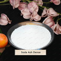 Cendres de soude Densh 99,2 % min. Qualité industrielle supérieure CAS 497-19-8 pour l'industrie du verre Sac de 25 kg