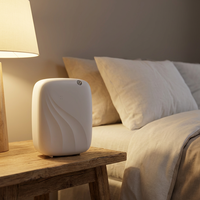Diffuseur d'arômes intelligent pour hôtel, design personnalisable professionnel, machine de diffusion d'huiles essentielles à air froid, usage commercial