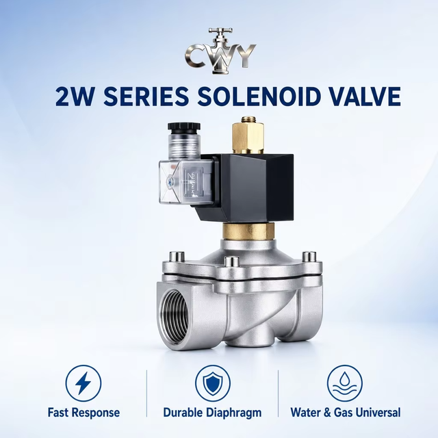 2W Series Solenoid Valve Stainless Steel 1/2 to 2 Inch Normally Open Direct Acting Electric Valve