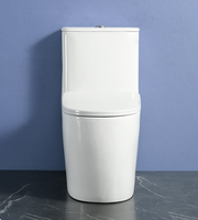 Design moderne Articles sanitaires en céramique One Piece Toilette à double chasse S-Trap Drainage pour salle de bain Vente en gros d'usine