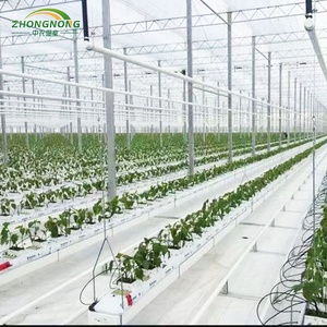 Low <strong>Cost</strong> Multi- Span Multi <strong>Tunnels</strong> Agricultural Green House Steel Frame Tropical PE Film Greenhouses Complete Set Plant Tomato - Product Image 2
