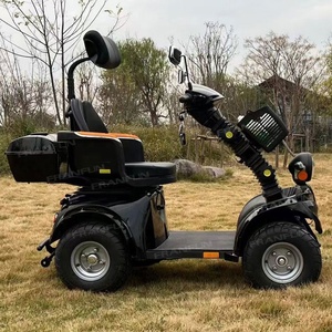 Scooter électrique à 4 roues à pneus larges, haute mobilité, véhicule électrique, robuste, 1000W, batterie 60V - Product Image 6