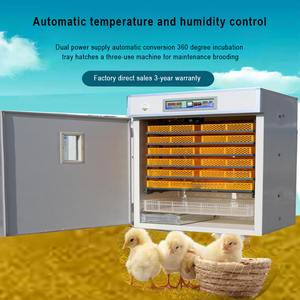 حاضنة بيض أوتوماتيكية ذكية تجارية كبيرة السعة لـ 880 بيضة - Product Image 6